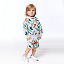 Load image into Gallery viewer, Lite Grey Surf Boards Set